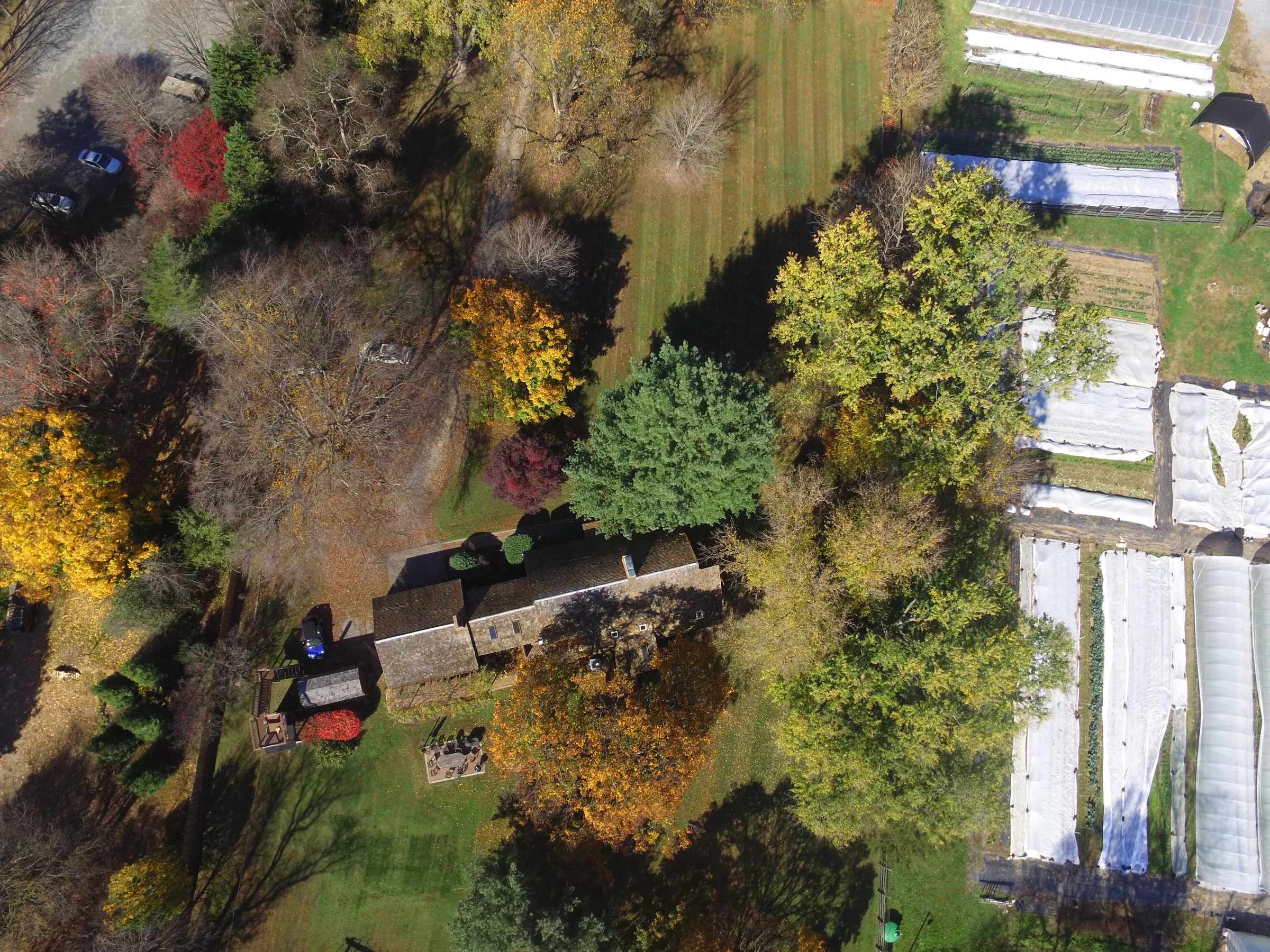 Estate aerial view showing landscape maturity